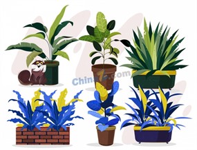 家居盆栽植物矢量素材